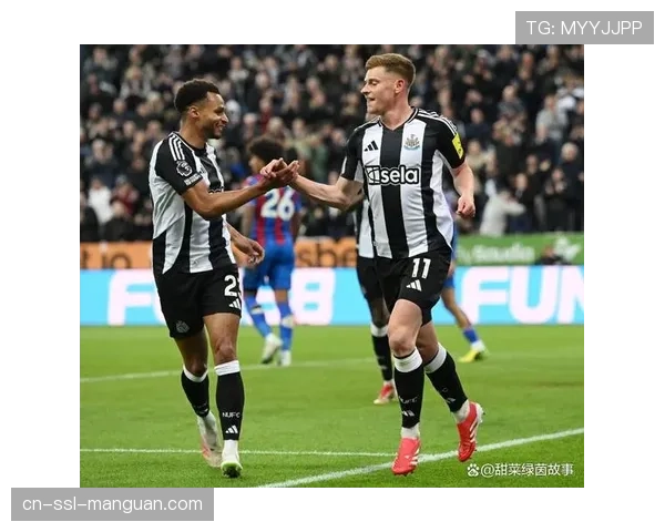 强风天气预警,布莱顿与纽卡斯尔的比赛可能受到影响 强风天气预警,布莱顿与纽卡斯尔的比赛可能受到影响