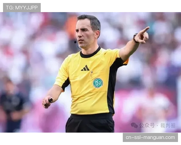 德甲裁判委员会重申,将严格处罚针对裁判的言语攻击行为。 德甲裁判委员会重申,将严格处罚针对裁判的言语攻击行为。